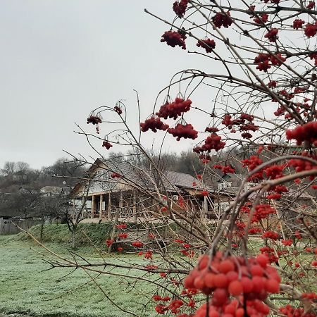 Гостьовий Дім На Герцена Guest Hous On Gertsena Hotell Novhorod-Siverskyi Exteriör bild