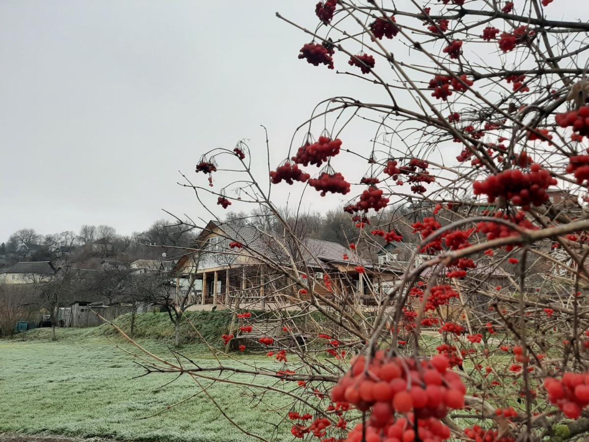 Гостьовий Дім На Герцена Guest Hous On Gertsena Hotell Novhorod-Siverskyi Exteriör bild