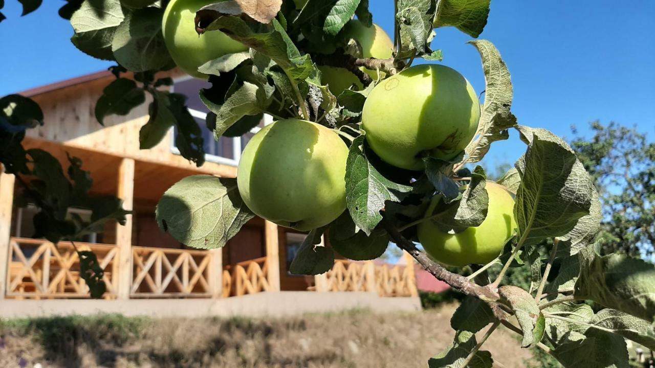 Гостьовий Дім На Герцена Guest Hous On Gertsena Hotell Novhorod-Siverskyi Exteriör bild