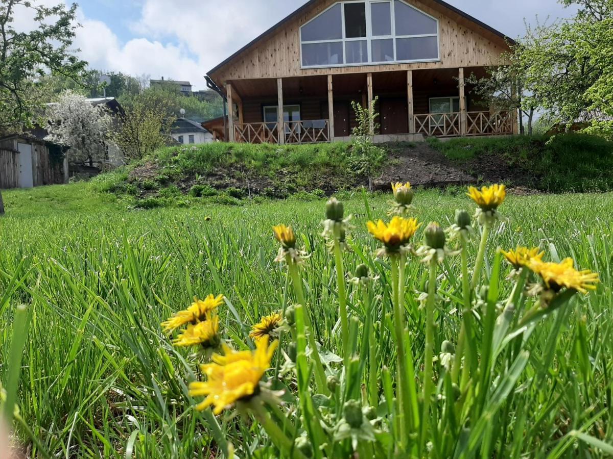 Гостьовий Дім На Герцена Guest Hous On Gertsena Hotell Novhorod-Siverskyi Exteriör bild